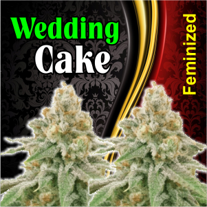 wedding-cake-feminized