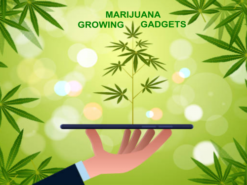 cannabis-grow-gadgets