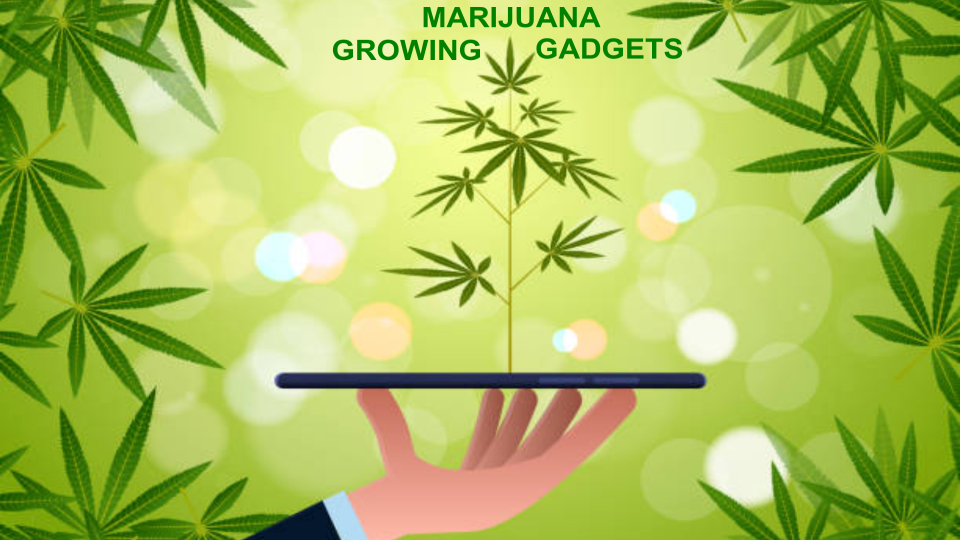 cannabis-grow-gadgets