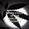 moon-cycle-marijuana-growing