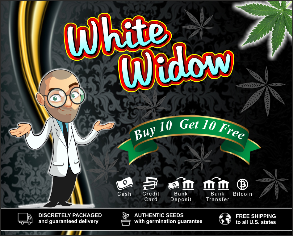 whitewidow-ilgm