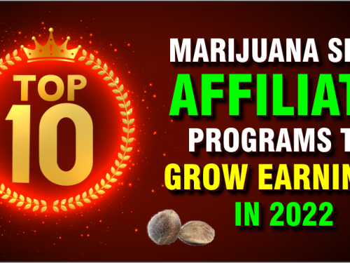 Top 10 Marijuana Seed Affiliate Programs