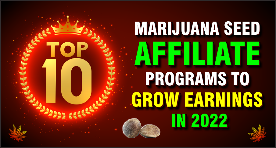 Top 10 Marijuana Seed Affiliate Programs