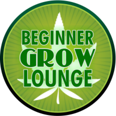 Group logo of Beginner Grow Lounge